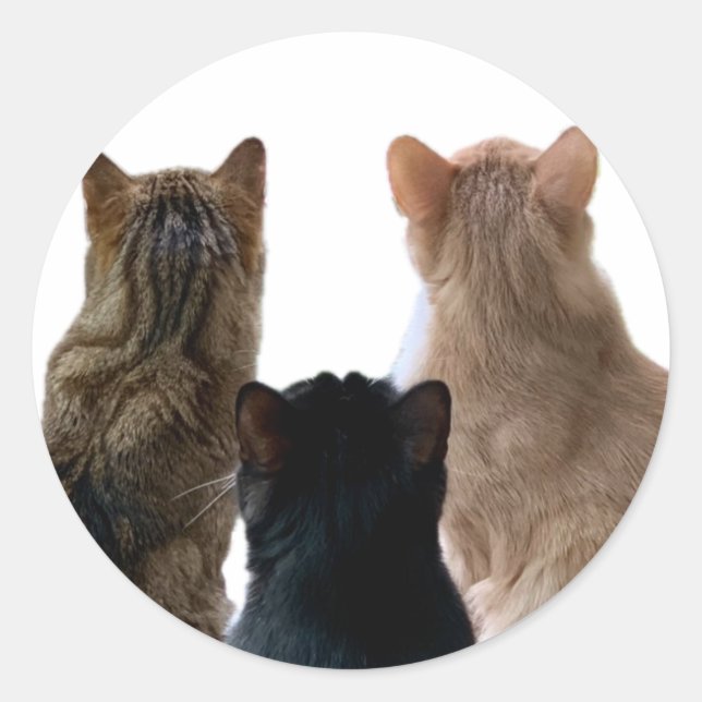 Adesivo Redondo Gerônimo, Henri & Floyd Sticker (Frente)