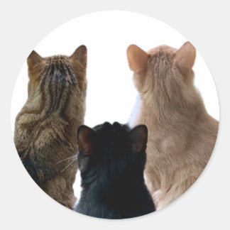 Adesivo Redondo Gerônimo, Henri & Floyd Sticker