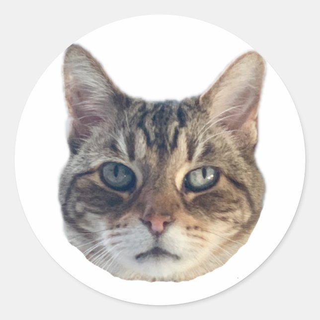 Adesivo Redondo Geronimo Sticker (Frente)