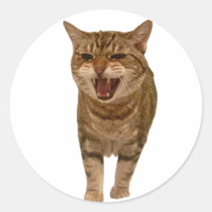 Adesivo Redondo Geronimo Sticker - Mewing!