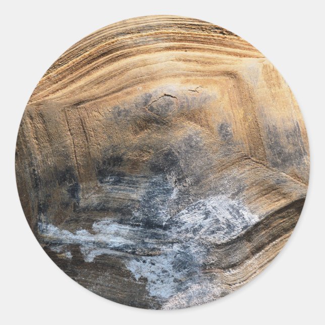 ADESIVO REDONDO GIANT TORTOISE SHELL (Frente)