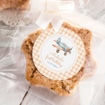 Gingham Time Fly Airplane Primeiro Aniversário