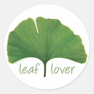 Adesivo Redondo Gingko Leaf