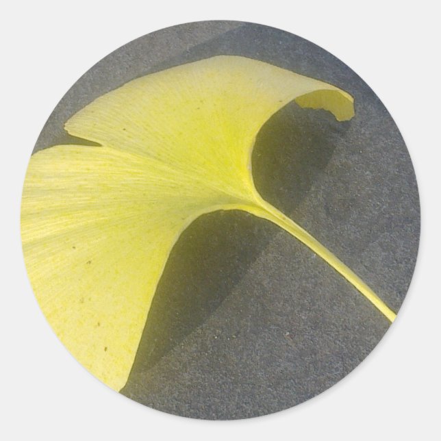 Adesivo Redondo Ginkgo Biloba Leaf Sticker (Frente)