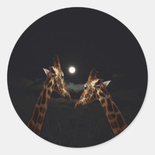 Adesivo Redondo Girafa Amor À Lua,