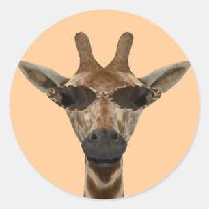 Adesivo Redondo Girafa Engraçada Disfarçada Com Óculos de Sol da M