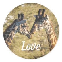 Girafas no Love Sticker