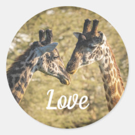 Adesivo Redondo Girafas no Love Sticker
