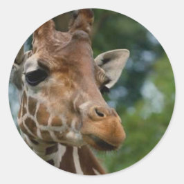 Adesivo Redondo Giraffe abre presentes de arte