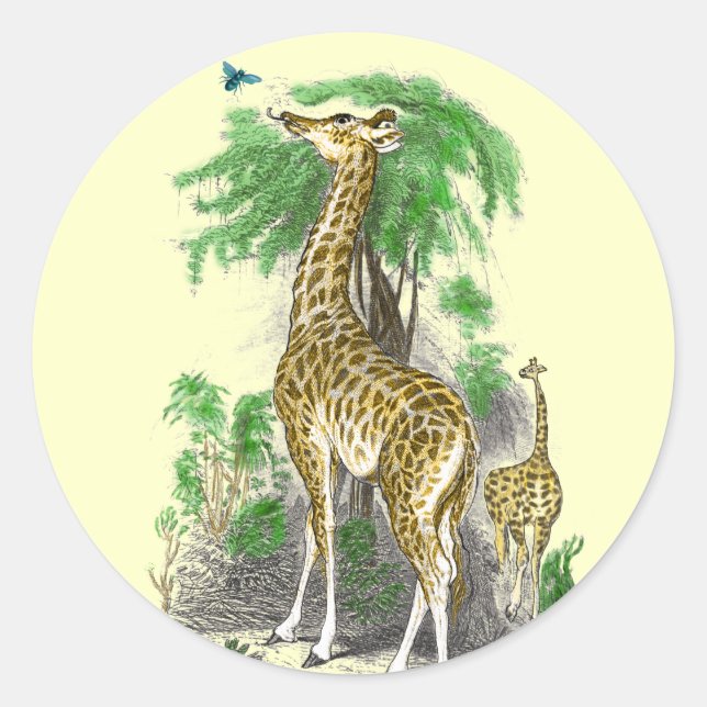 Adesivo Redondo Giraffe Birthday Stickers (Frente)