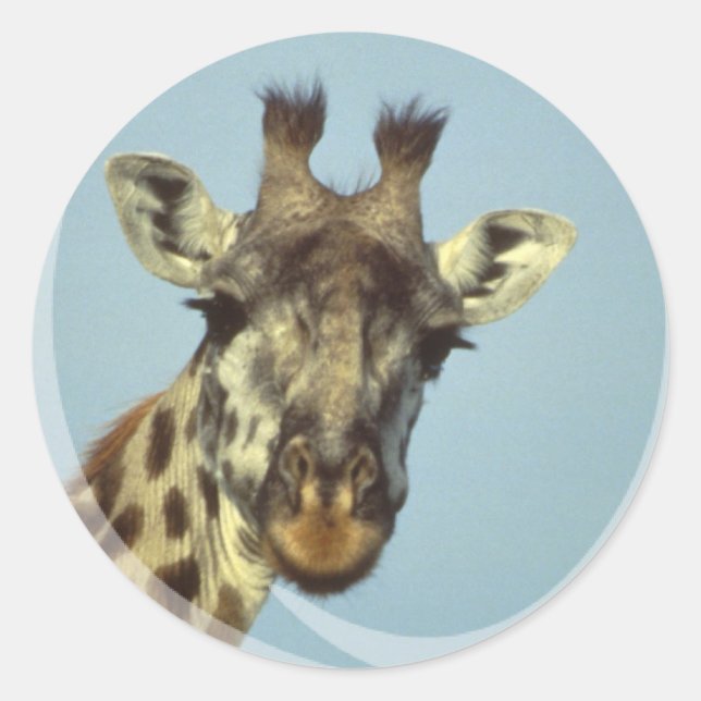 Adesivo Redondo Giraffe Design Stickers (Frente)