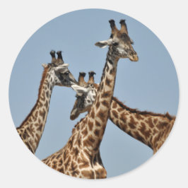 Adesivo Redondo Giraffe Head Sticker
