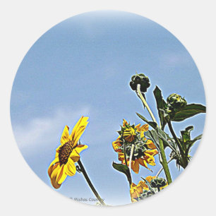 Adesivo Redondo Girassóis selvagens