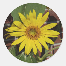 Adesivo Redondo Girassol
