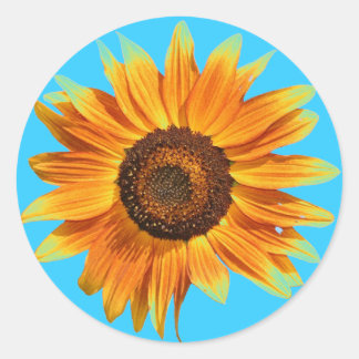 Adesivo Redondo Girassol