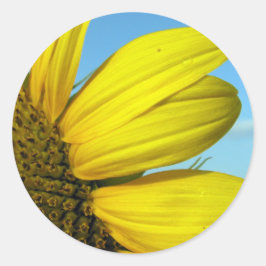 Adesivo Redondo Girassol