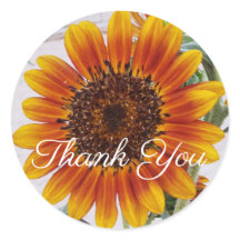 Girassol Laranja Obrigado Sticker