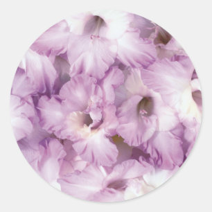 Adesivo Redondo Glads roxo toda a ocasião