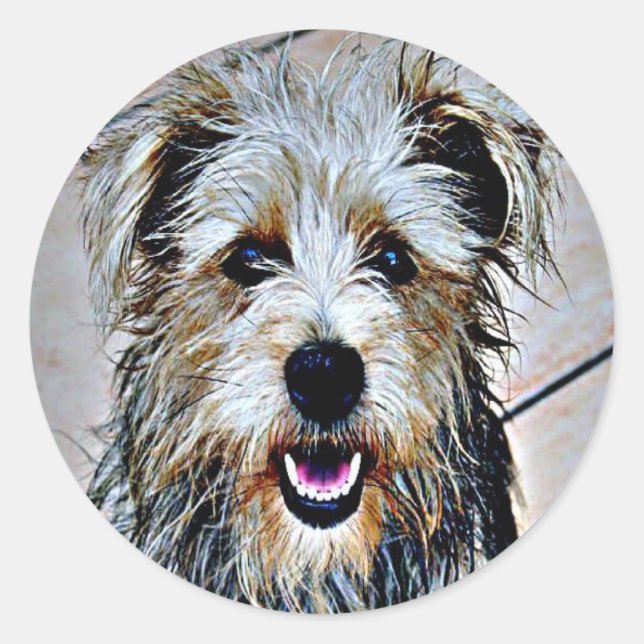 Adesivo Redondo Glen of Imaal Terrier (Frente)