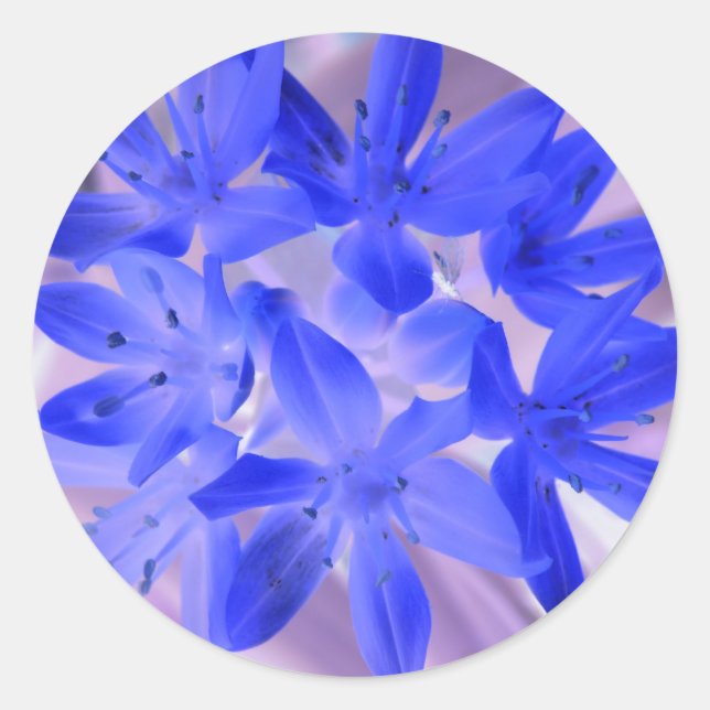 Adesivo Redondo Glória Do Vinheta Azul Chocante Da Neve (Frente)