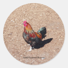 Adesivo Redondo Gold Cockerel Rooster sticker