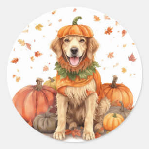 Adesivo Redondo Golden Retriever Halloween Abóbora Outono