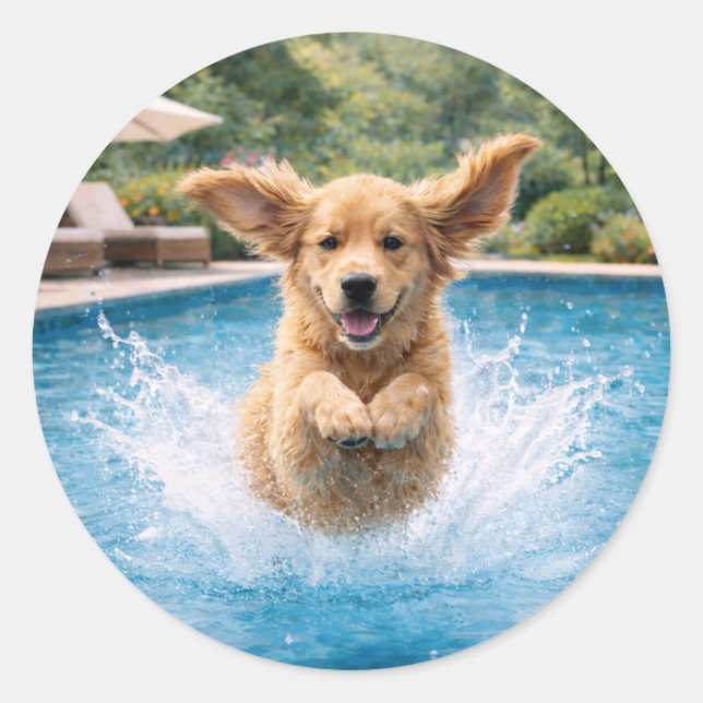 Adesivo Redondo Golden Retriever Puppy Pool Plunge (Frente)