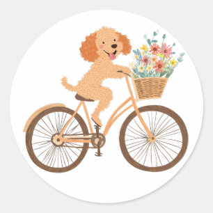 Adesivo Redondo Goldendoodle Cachorro Cachorro Bicando Flores De M