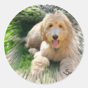 Adesivo Redondo Goldendoodle Labradoodle