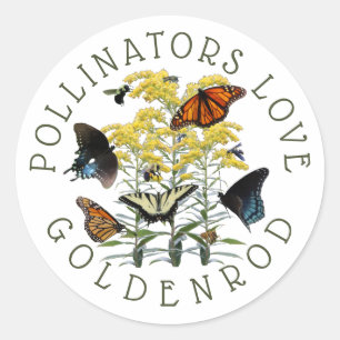 Adesivo Redondo Goldenrod Solidago Wildflower e Pollinators Clas