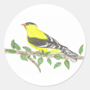 Adesivo Redondo Goldfinch Sticker
