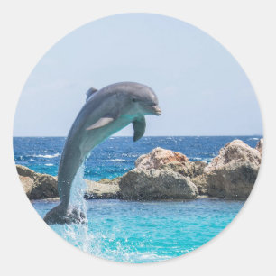 Adesivo Redondo Golfinho de Bottlenose