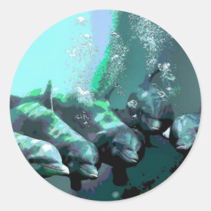 Adesivo Redondo Golfinhos de sorriso