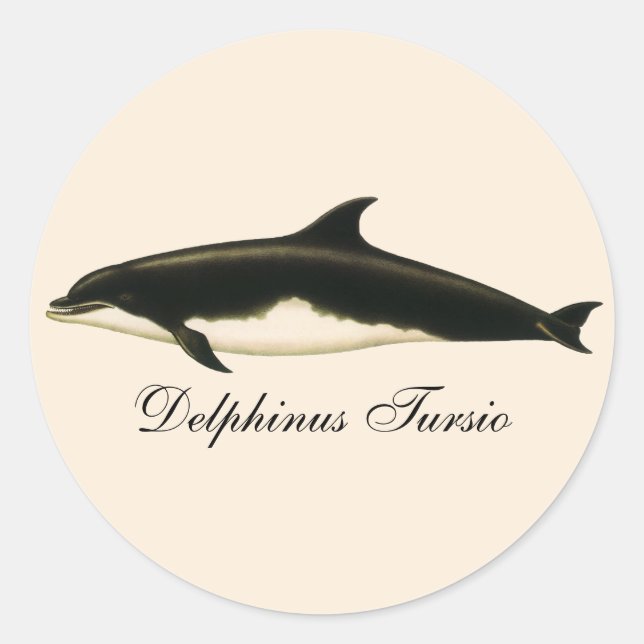 Adesivo Redondo Golfinhos-Vintage Delphinus Tursio, Mamíferos Mari (Frente)