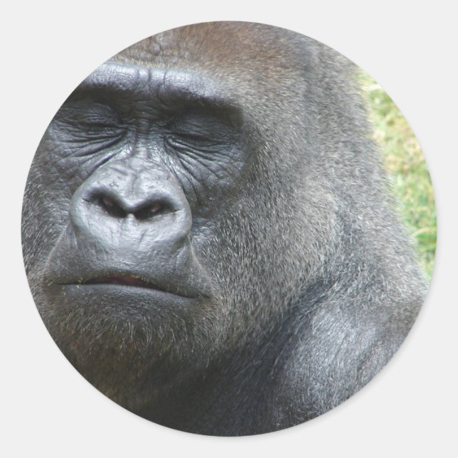 Adesivo Redondo Gorilla Look Stickers (Frente)