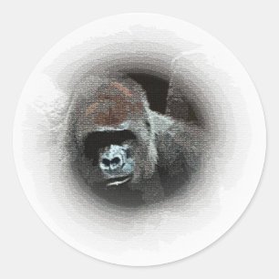 Adesivo Redondo Gorilla Portrait