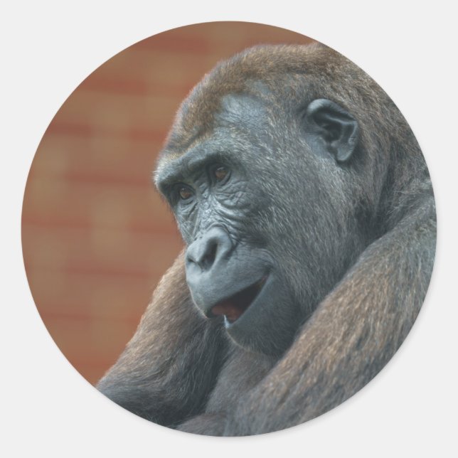 Adesivo Redondo Gorilla Shufai (Frente)
