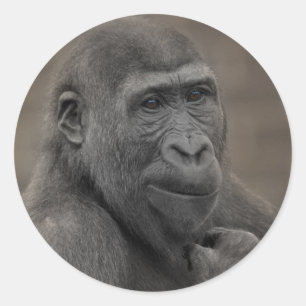 Adesivo Redondo Gorilla Shufai Retrait Tote Bag