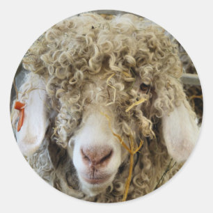 ADESIVO REDONDO GOTA BONITA