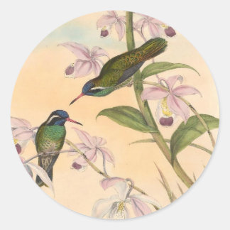 Adesivo Redondo Gould Hummingbird e Orchídeos