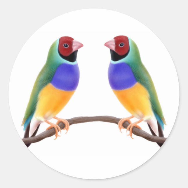 Adesivo Redondo Gouldian Finch Friends (Frente)