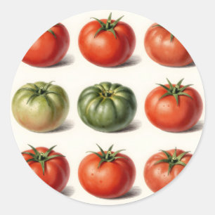 Adesivo Redondo Grade de Variedade de Tomate Antigo Botânico