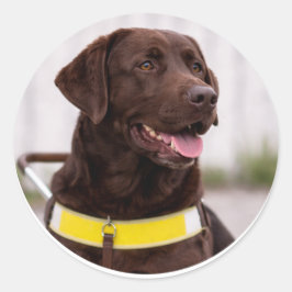Adesivo Redondo Graduação do Cão-Guia Labrador Chocolate