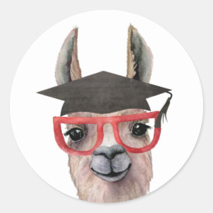 Adesivo Redondo Graduação Engraçada Llama Sticker