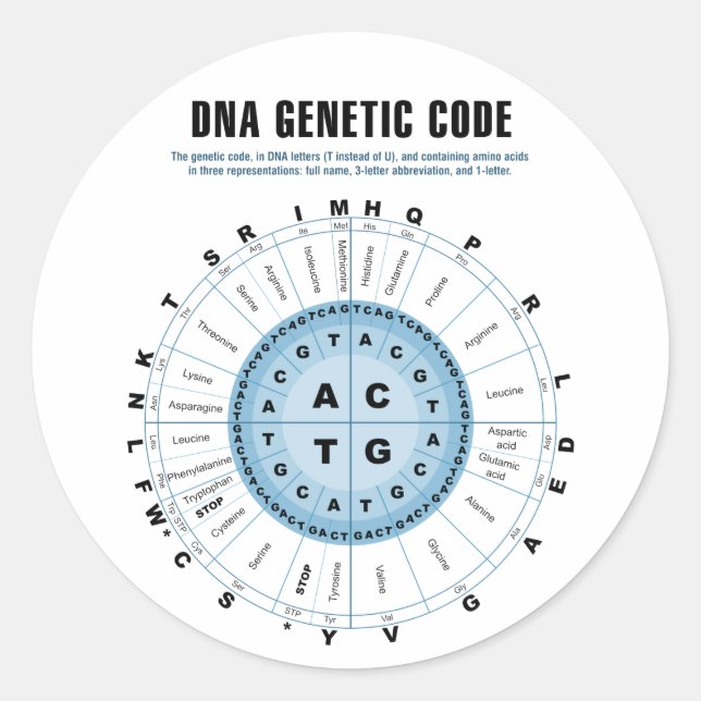 Adesivo Redondo Gráfico de Código Genético de DNA (Frente)