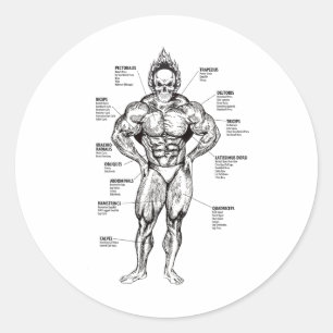 Adesivo Redondo Gráfico Muscular e Guia de Exercícios - Motivação