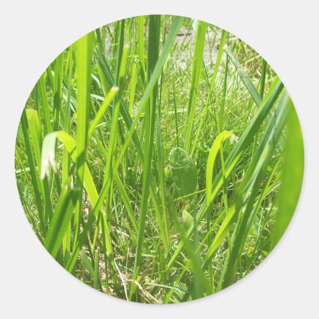Adesivo Redondo Grama (Frente)