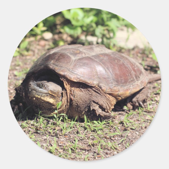 Adesivo Redondo Grande cara (Frente)