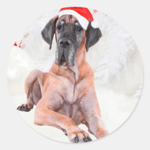 Adesivo Redondo Grande Dane Cachorro Chapéu Feliz Natal