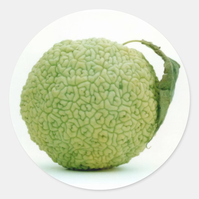 Adesivo Redondo Grande maçã verde (Frente)